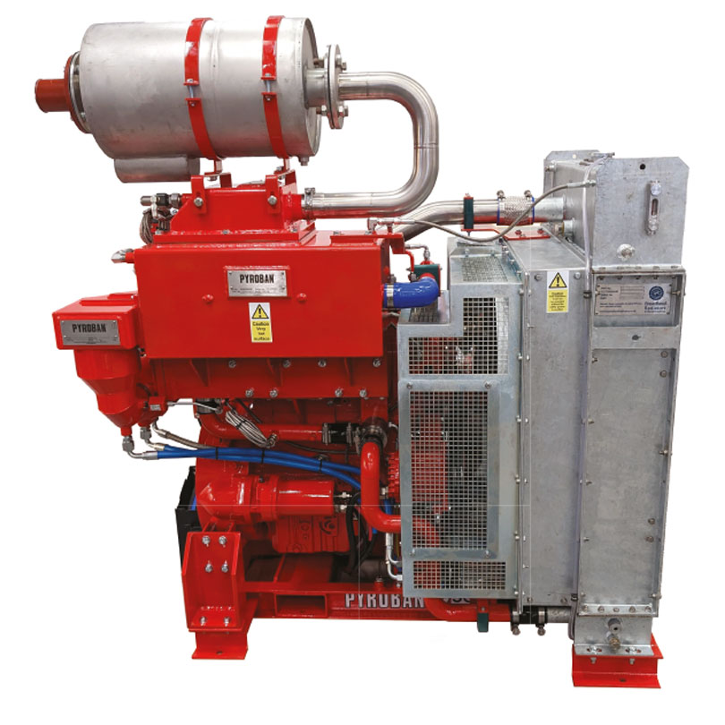 Explosion proof engine